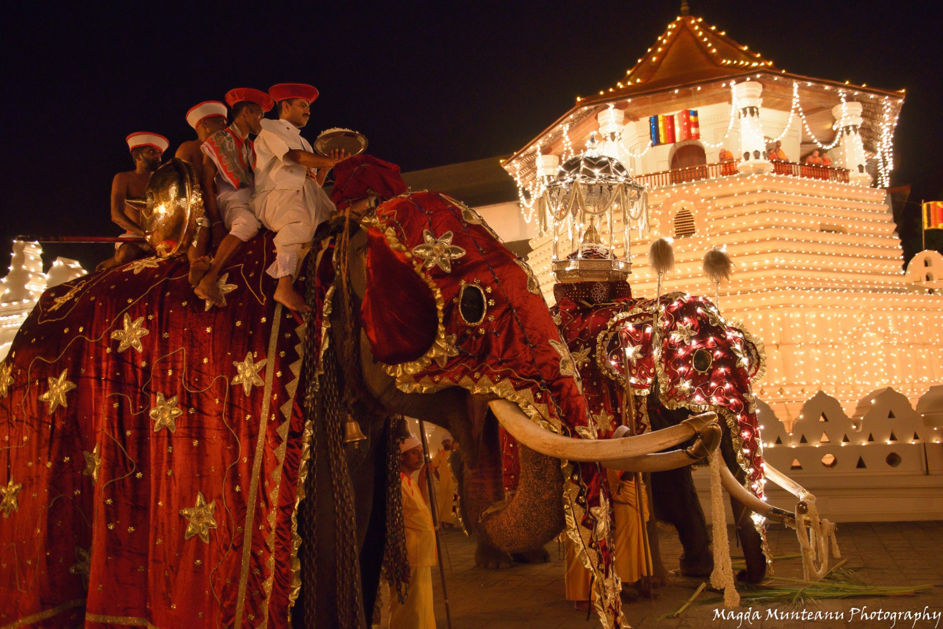 Esala Perahera elephant festival in Kandy, Sri Lanka — Magda Munteanu
